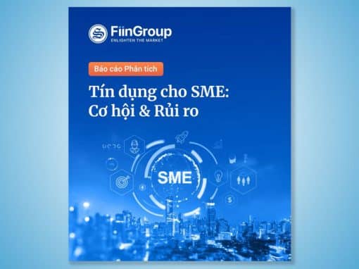FiinGroup: Overview of Opportunities & Credit Risks for Vietnamese SMEs in 2025