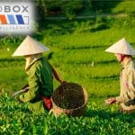 Worldbox Country Risk Climate – November 2025: Vietnam