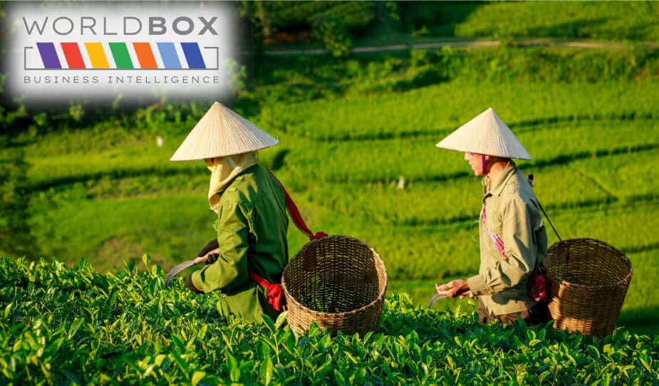 worldbox vietnam slider 11 13 25.jpg worldbox vietnam slider 11 13 25.jpg